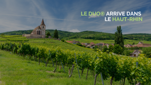 Agence Le Duo® à Sausheim dans le Haut-Rhin !