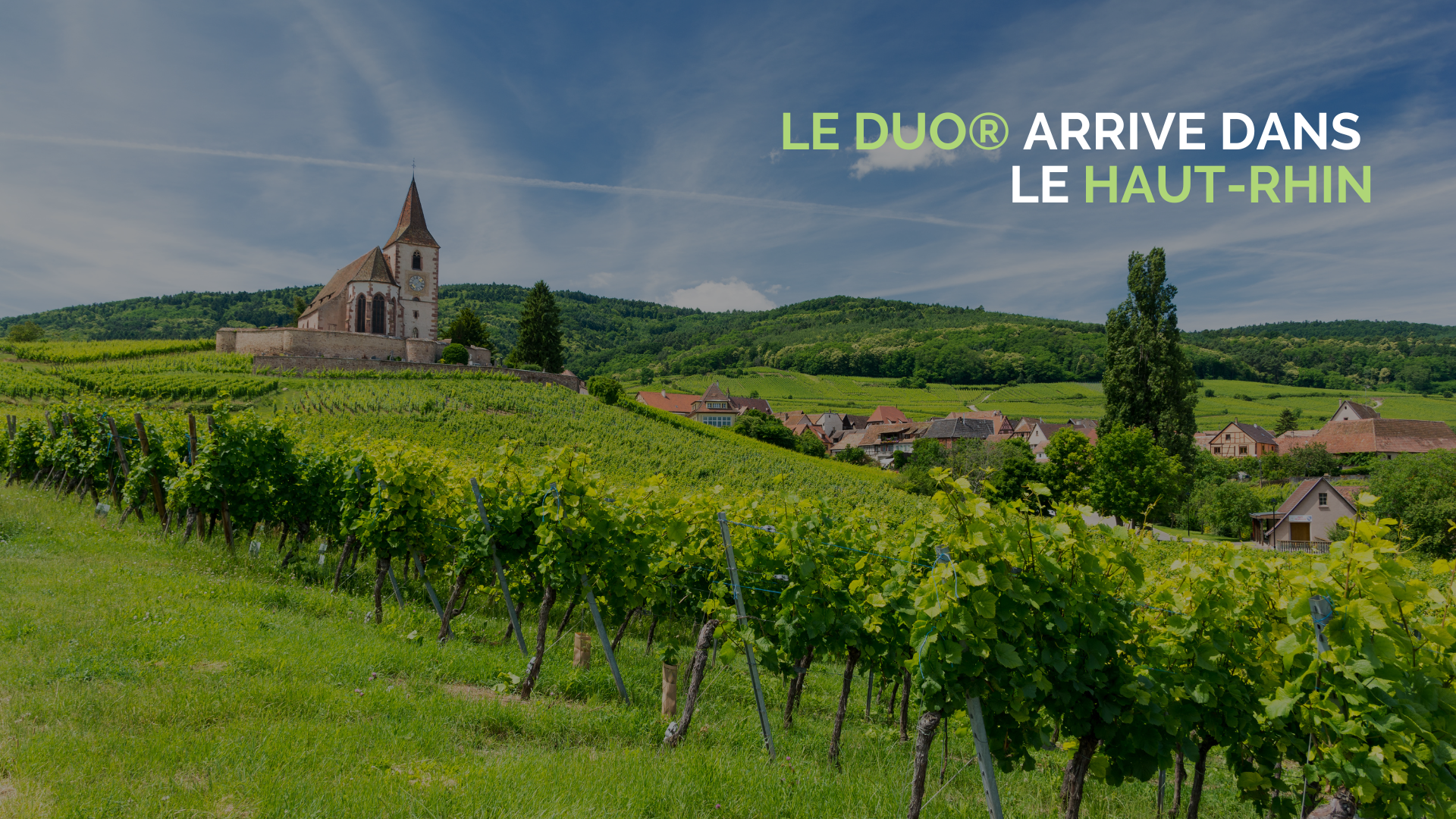 Agence Le Duo® à Mulhouse dans le Haut-Rhin !